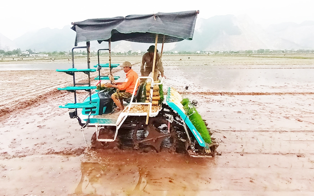 Ứng dụng cơ giới hóa giúp nông dân, HTX ở Thanh Tân nâng cao hiệu quả sản xuất.