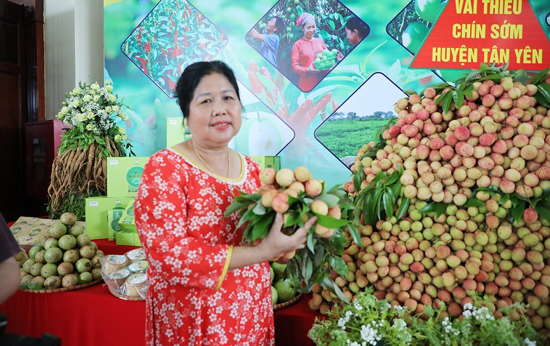 Sản phẩm vải thiều được trưng bày tại sảnh Trung tâm hội nghị tỉnh.