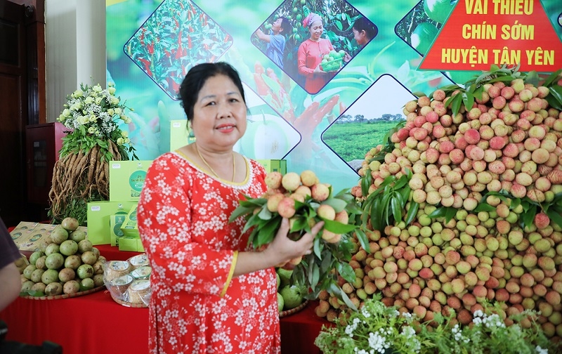 Sản phẩm vải thiều được trưng bày tại sảnh Trung tâm hội nghị tỉnh.