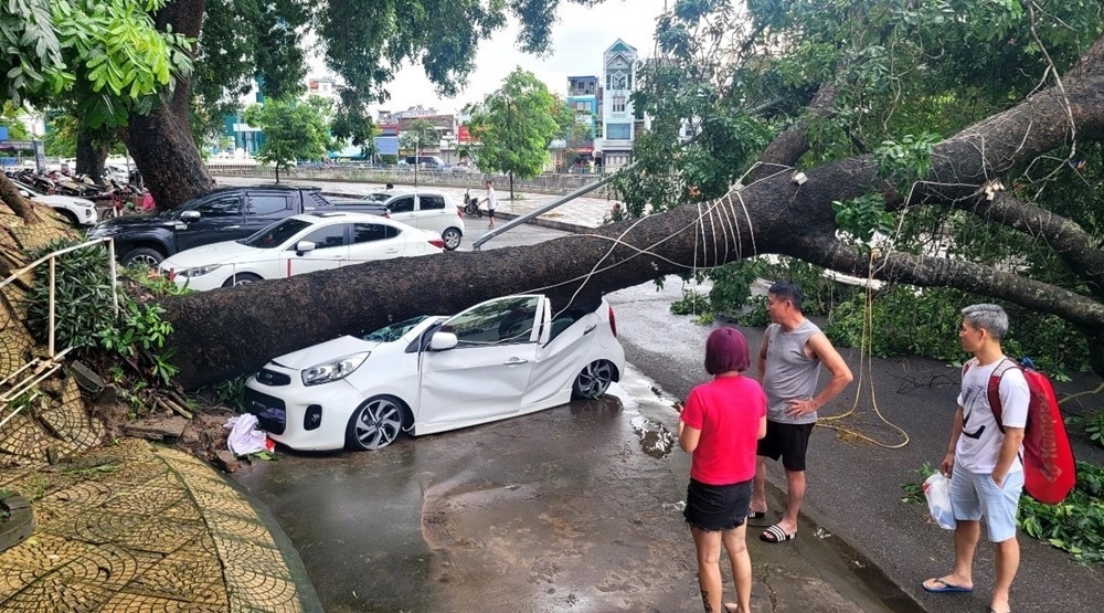 Bảo hiểm xe cơ giới là một trong hai động lực tăng trưởng giúp ngành bảo hiểm phục hồi trong quý I/2025