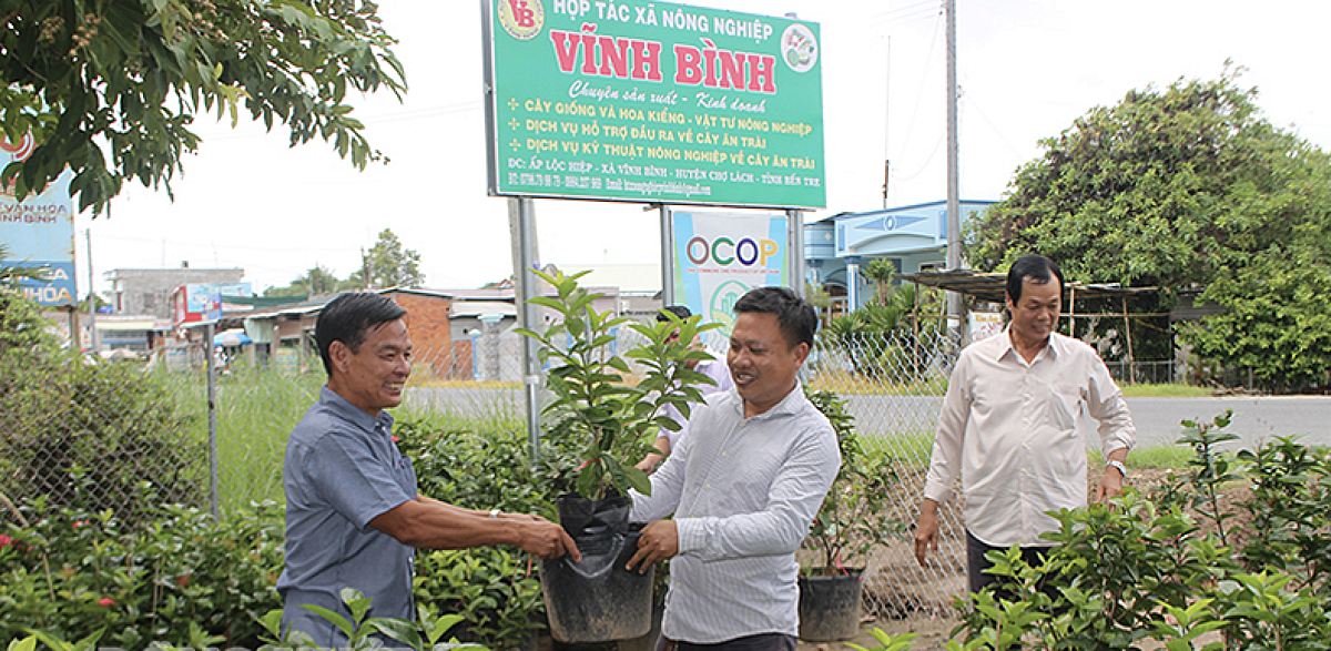 HTX Nông nghiệp Vĩnh Bình đang từng bước trở thành trung tâm kết nối – sản xuất – tiêu thụ – đào tạo kỹ thuật cho nông dân trong khu vực