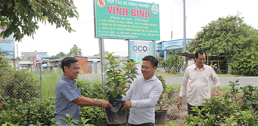 HTX Nông nghiệp Vĩnh Bình đang từng bước trở thành trung tâm kết nối – sản xuất – tiêu thụ – đào tạo kỹ thuật cho nông dân trong khu vực