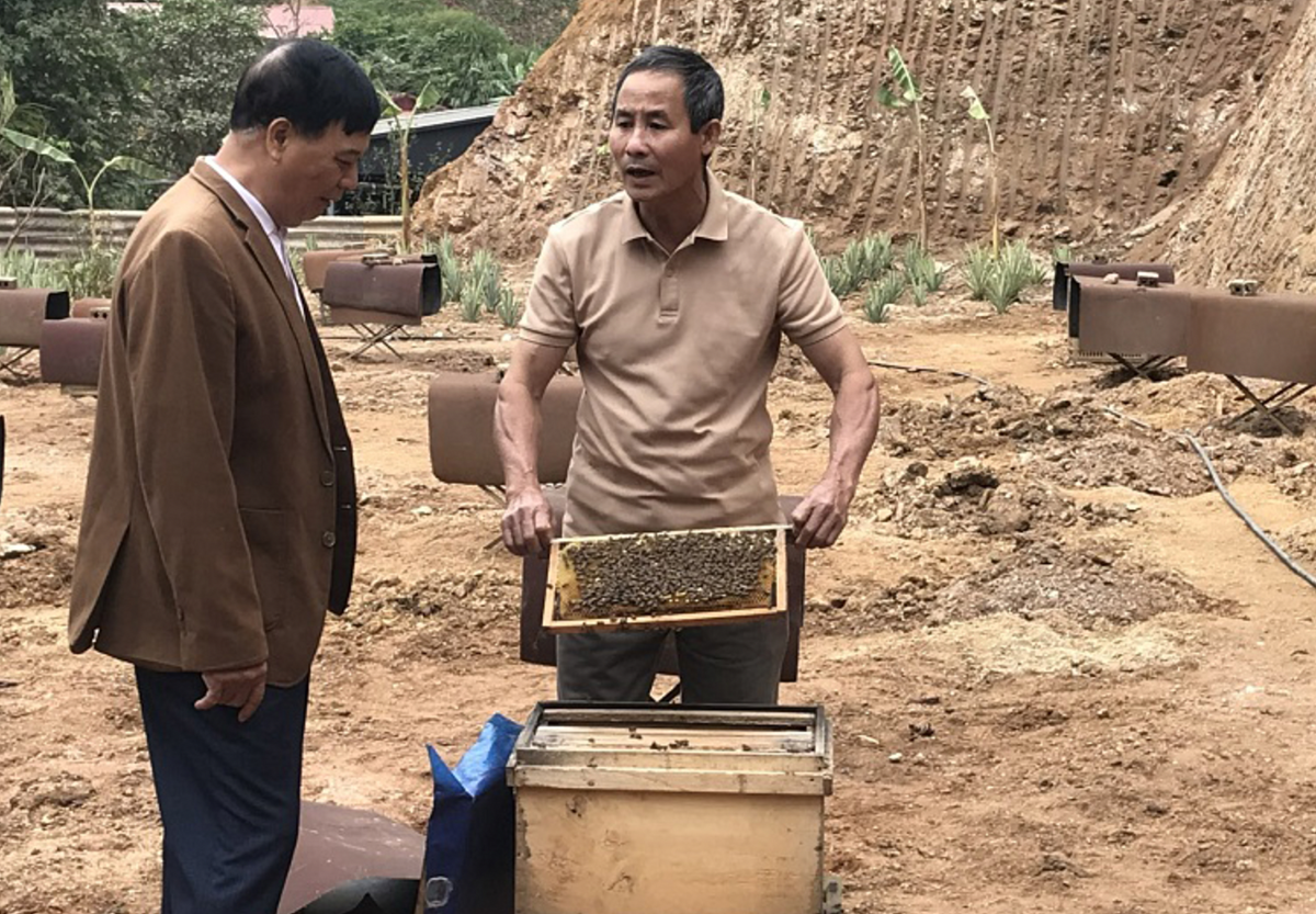 Mô hình nuôi ong lấy mật của ông Hoàng Thư Khoa - HTX Nông nghiệp Minh Bảo.