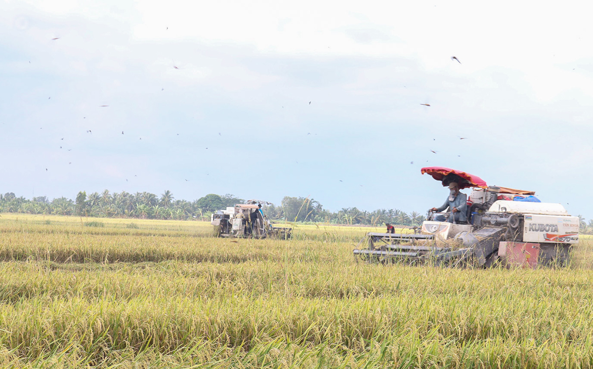 Ứng dụng công nghệ là xu hướng tất yếu để nâng cao giá trị gia tăng trong sản xuất nông nghiệp.