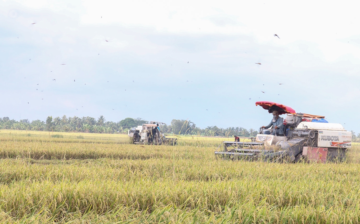 Ứng dụng công nghệ là xu hướng tất yếu để nâng cao giá trị gia tăng trong sản xuất nông nghiệp.