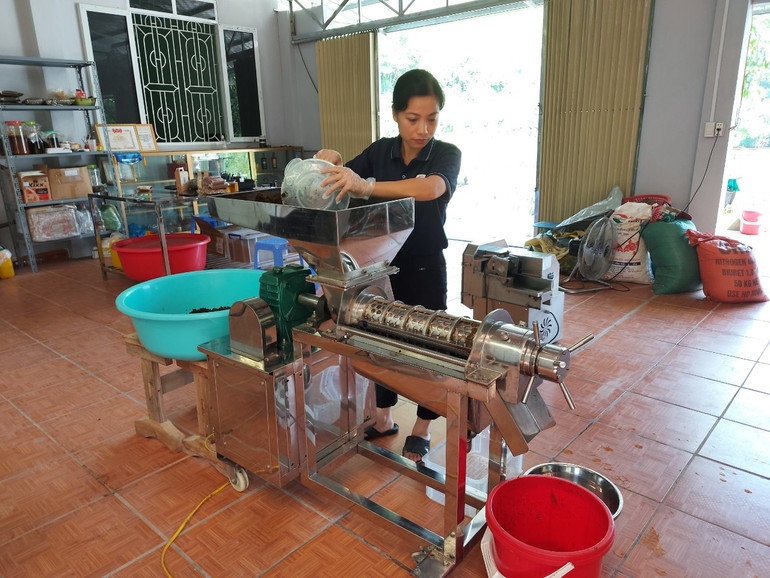 Được sự hỗ trợ từ Liên minh HTX các cấp, nhiều HTX đã đầu tư máy móc chế biến các sản phẩm từ quế.