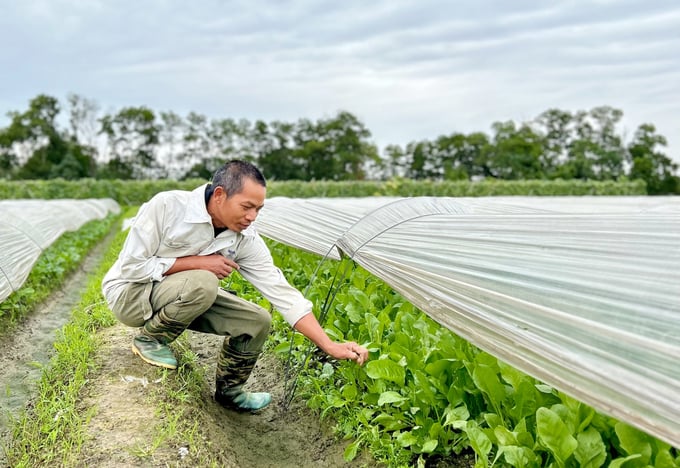 HTX Bắc Hồng là một điểm sáng trong xây dựng chuỗi liên kết giá trị ngành hàng nông nghiệp.