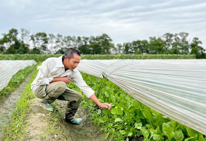 HTX Bắc Hồng là một điểm sáng trong xây dựng chuỗi liên kết giá trị ngành hàng nông nghiệp.