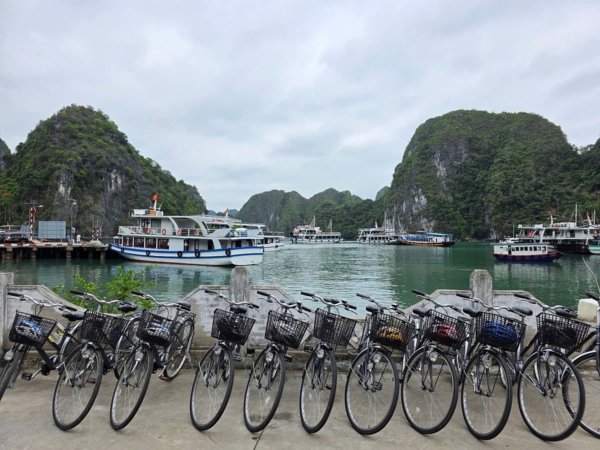 Những sản phẩm dịch vụ giúp Việt Hải giữ được môi trường trong lành đến hôm nay.