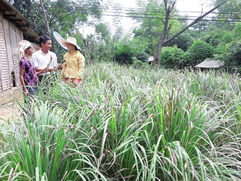 HTX giúp bà con dân tộc thiểu số ở Ba Lòng thoát ra khỏi hình thức sản xuất nhỏ lẻ.