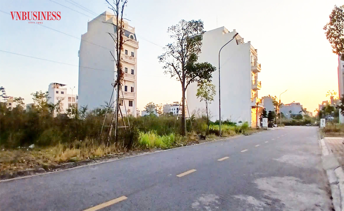 Đất đấu giá đang khiến nhiều nhà đầu tư lướt sóng ngã đau.