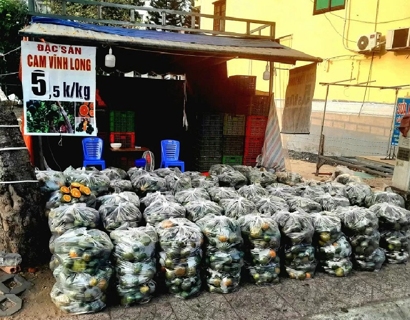 Cam sành, xoài úc, dưa hấu,... là một trong những trái cây bị rớt giá thảm, được tập kết tại các hè phố bán giá giải cứu.
