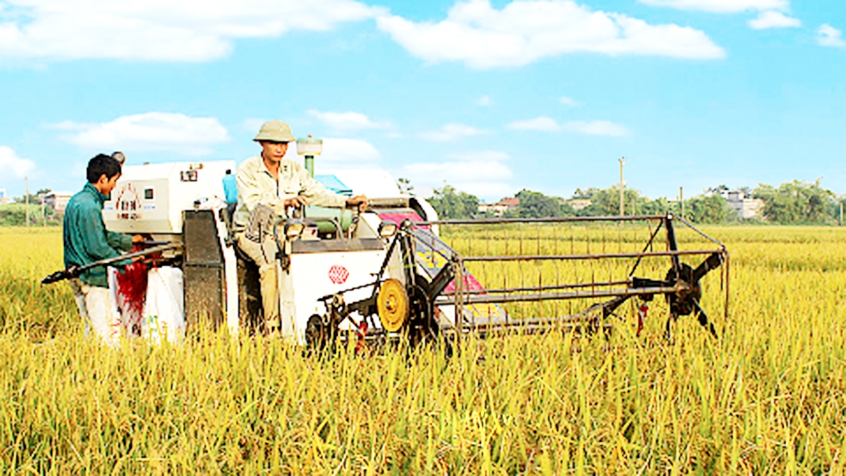 Để thoát nghèo, làm giàu, nông dân, HTX ở Nam Định mạnh dạn cơ giới hóa, đưa khoa học kỹ thuật vào sản xuất.