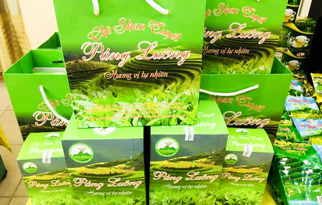Sản phẩm chè Shan tuyết của HTX dịch vụ nông nghiệp Púng Luông được cấp chứng nhận OCOP.