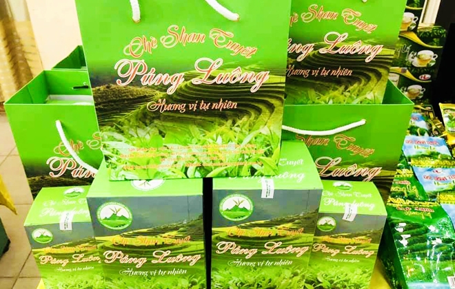 Sản phẩm chè Shan tuyết của HTX dịch vụ nông nghiệp Púng Luông được cấp chứng nhận OCOP.