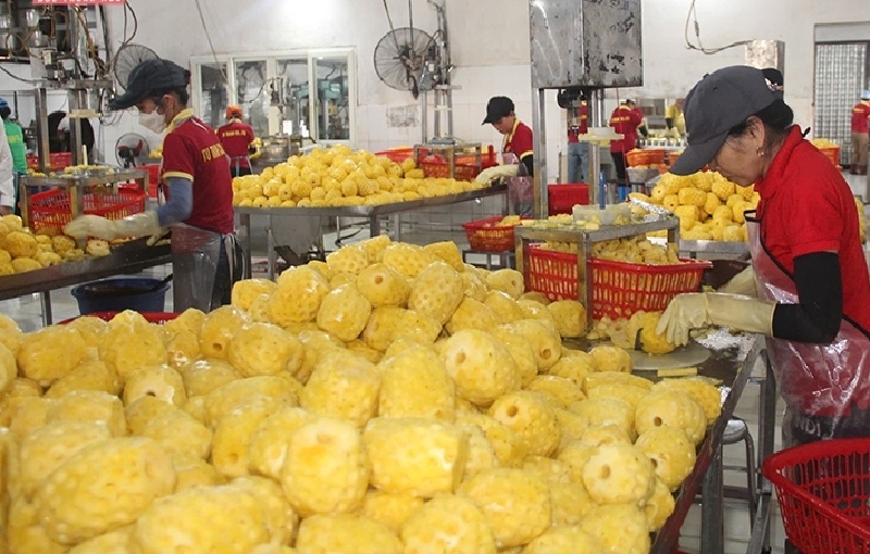Tăng cường xuất khẩu các sản phẩm chế biến sâu cũng là giải pháp nâng cao kim ngạch xuất khẩu ngành rau quả.