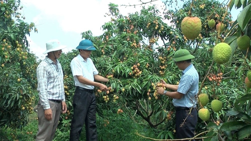 Các HTX, tổ hợp tác trên địa bàn huyện Ea Kar tiên phong trong chuyển đổi cơ cấu cây trồng, vật nuôi, chuyển giao khoa học kỹ thuật, ứng dụng công nghệ cao vào sản xuất.