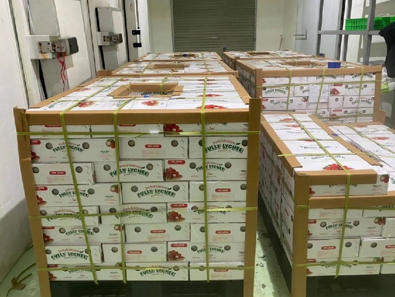 Ngày 29/5, Việt Nam xuất lô vải thiều tươi đầu tiên trong mùa vụ 2025, tại thị trường Nhật Bản.