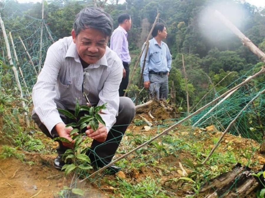 Người dân Tây Giang đang phát huy kỹ năng phát triển kinh tế dựa vào tài nguyên bản địa và tham gia chuỗi liên kết của các HTX.