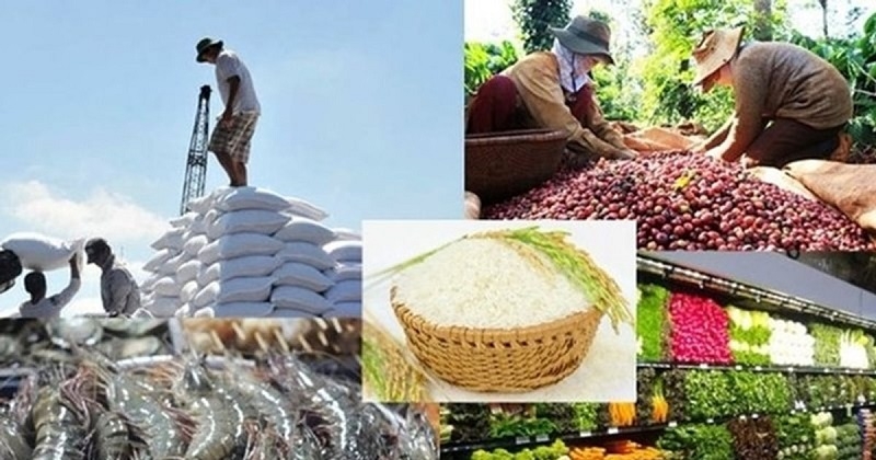 5 tháng đầu năm 2025, xuất khẩu nông, lâm, thủy sản đạt 28,04 tỷ USD, tăng 15,1% so với cùng kỳ năm 2024