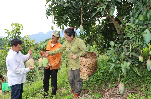 Trung Quốc là thị trường xuất khẩu nông sản chính của nhiều HTX, doanh nghiệp.