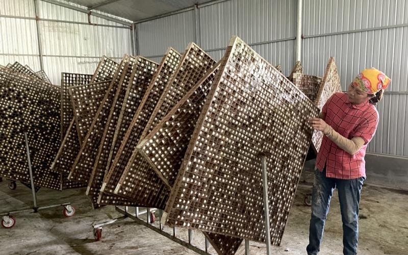 Phát triển nghề truyền thống đem lại thu nhập ổn định cho người dân.