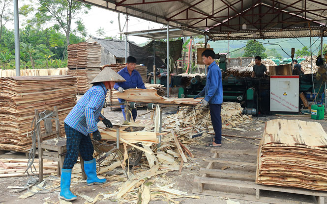 Chế biến gỗ giúp phát triển thế mạnh địa phương.