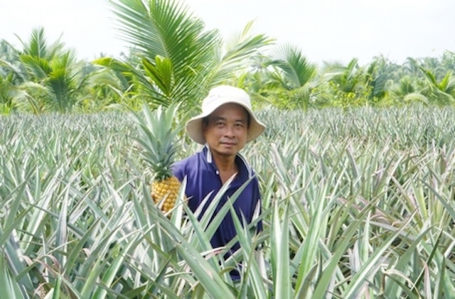 HTX Nông sản Bưng Sẩm luôn đồng hành, hỗ trợ thành viên trong việc áp dụng khoa học kỹ thuật.