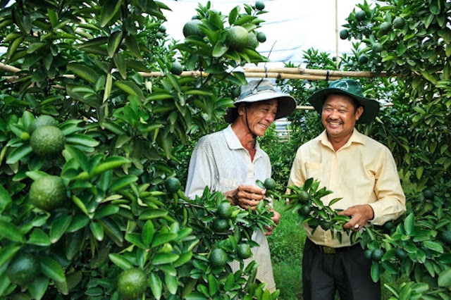 Phát triển nông nghiệp gắn với khoa học công nghệ là định hướng chung của ngành nông nghiệp tỉnh Bình Dương.