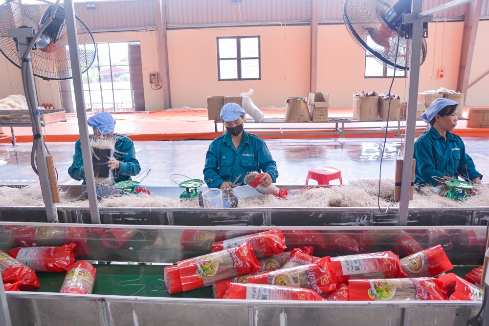 Dây chuyền đóng gói sản phẩm của HTX Việt Cường.