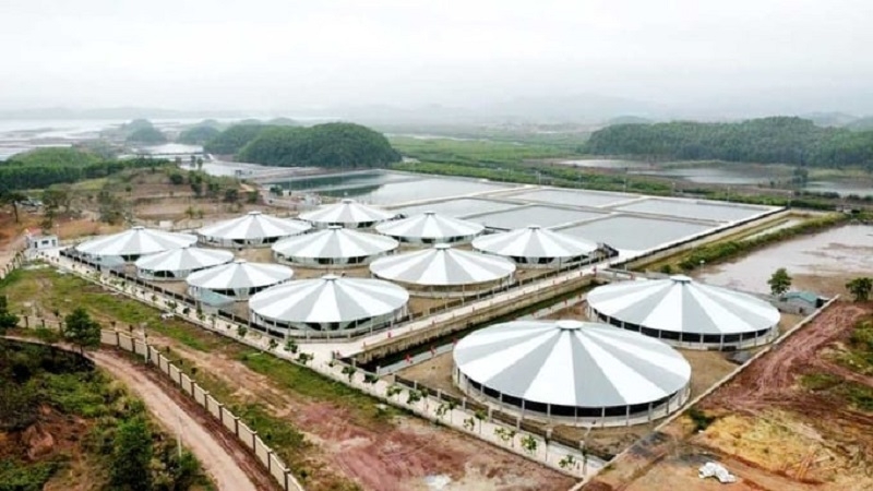 Với mô hình nuôi tôm thẻ chân trắng, áp dụng khoa học công nghệ tiên tiến, HTX nuôi tôm công nghệ cao Cẩm Phả mang lại hiệu quả kinh tế cao.