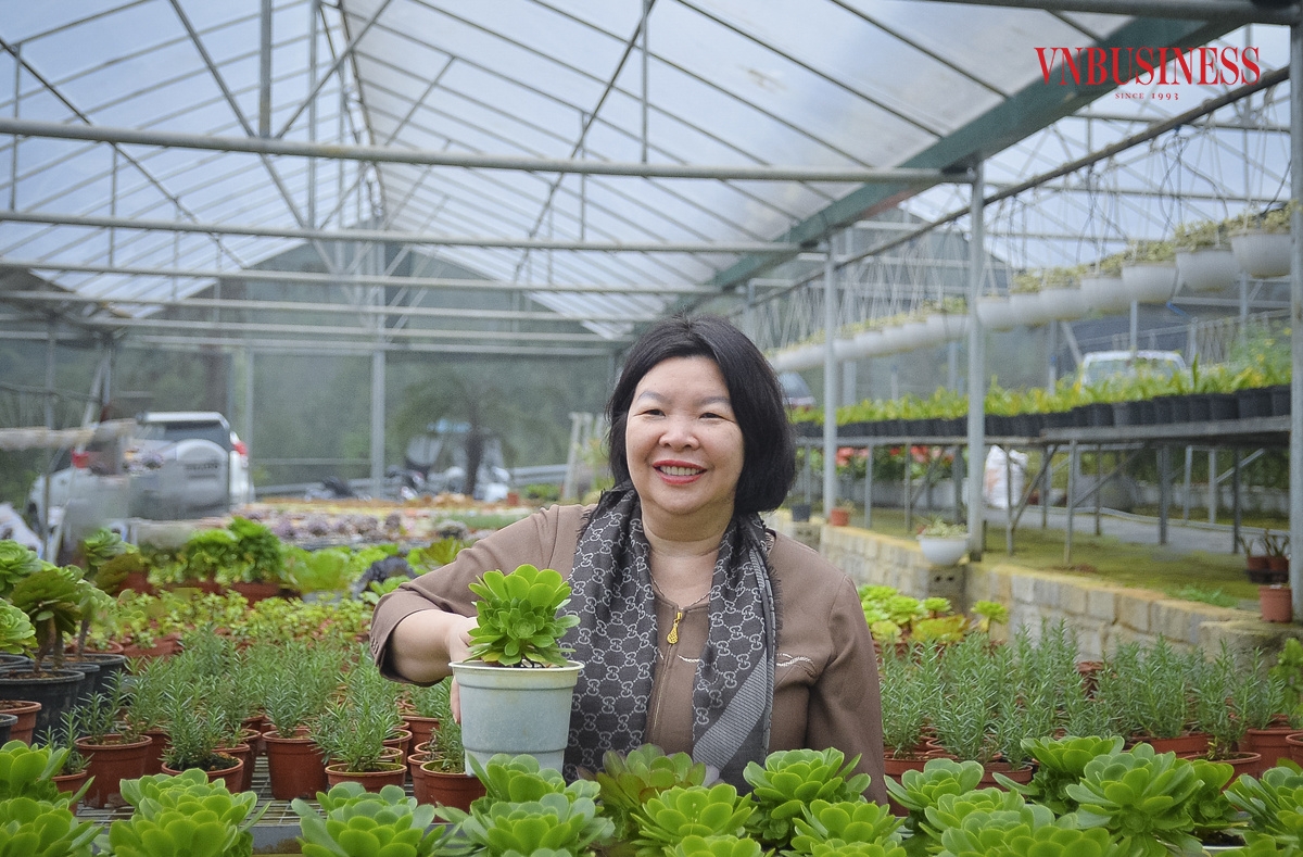 HTX hoa Bình Liêu gây ấn tượng mạnh với mô hình nông nghiệp sinh thái kết hợp du lịch &lpar;Trong ảnh: Chủ tịch Liên minh HTX Việt Nam Cao Xuân Thu Vân trong chuyến đi thực tế thăm các HTX tại huyện Bình Liêu&rpar;.