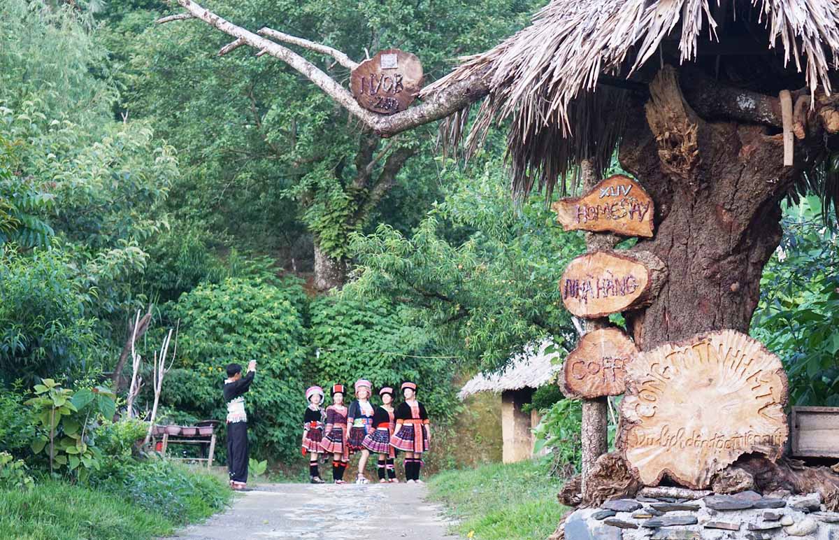 Các HTX có dấu ấn đậm nét trong chuyển đổi cách nghĩ cách làm của đồng bào dân tộc thiểu số ở Sìn Hồ.