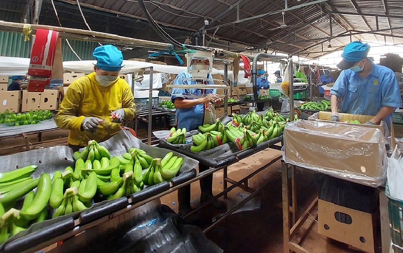 Nhiều DN bày tỏ Nghị quyết 68 như một cơn mưa rào sau thời kỳ nắng hạn cho các doanh nghiệp trong nước, song vẫn còn nhiều ý kiến băn khoăn.