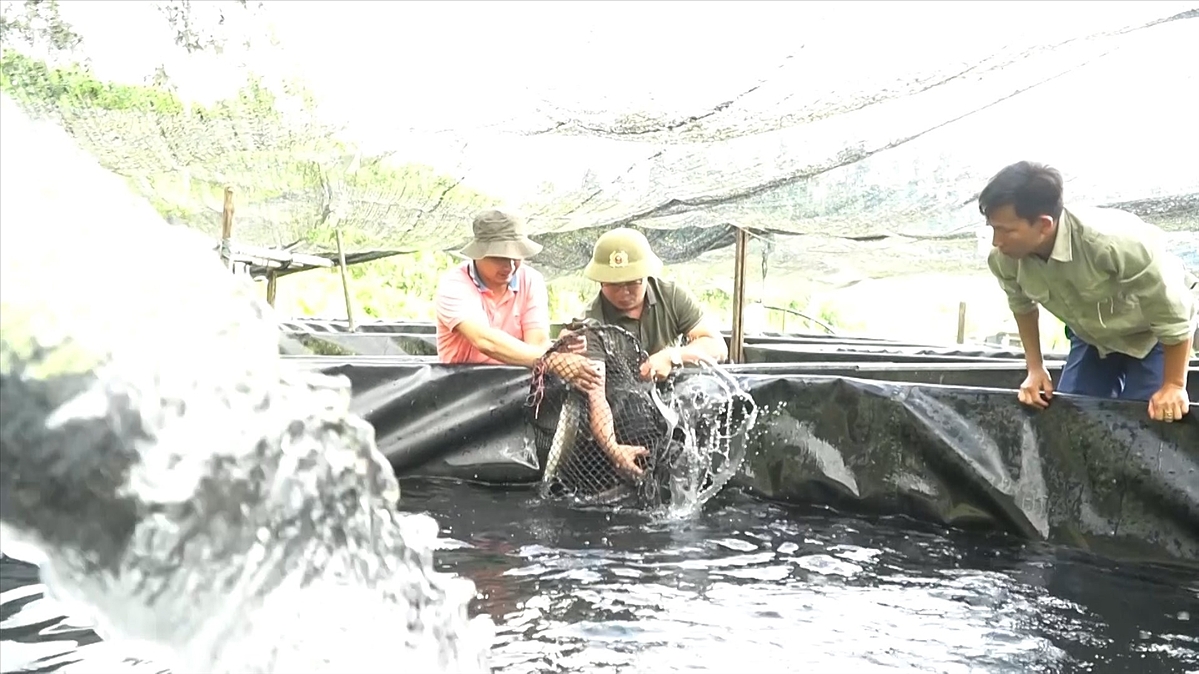 HTX Nông nghiệp và du lịch Nà Hẩu phát triển nghề sản xuất kinh doanh cá tầm và phát triển du lịch sinh thái.