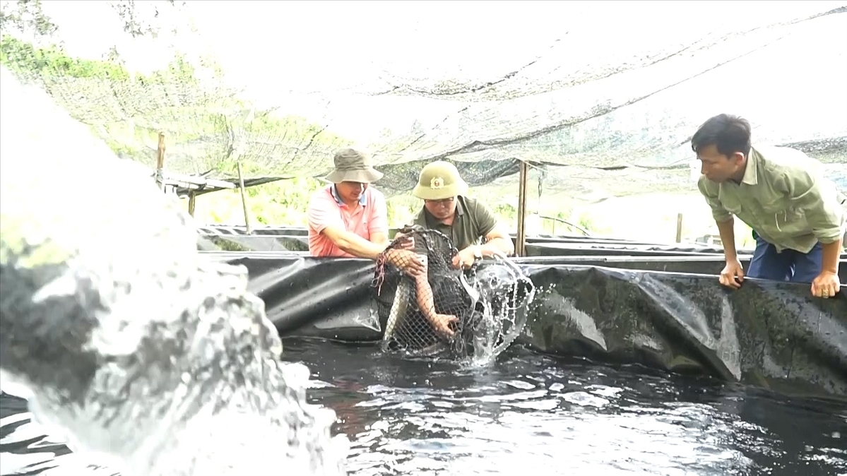 HTX Nông nghiệp và du lịch Nà Hẩu phát triển nghề sản xuất kinh doanh cá tầm và phát triển du lịch sinh thái.