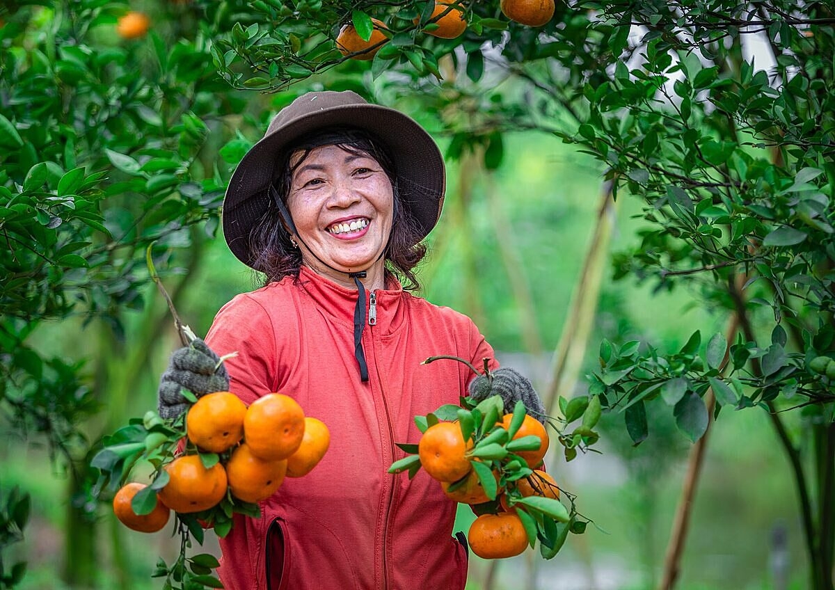 Thay đổi địa giới không thay đổi giá trị sản phẩm OCOP.