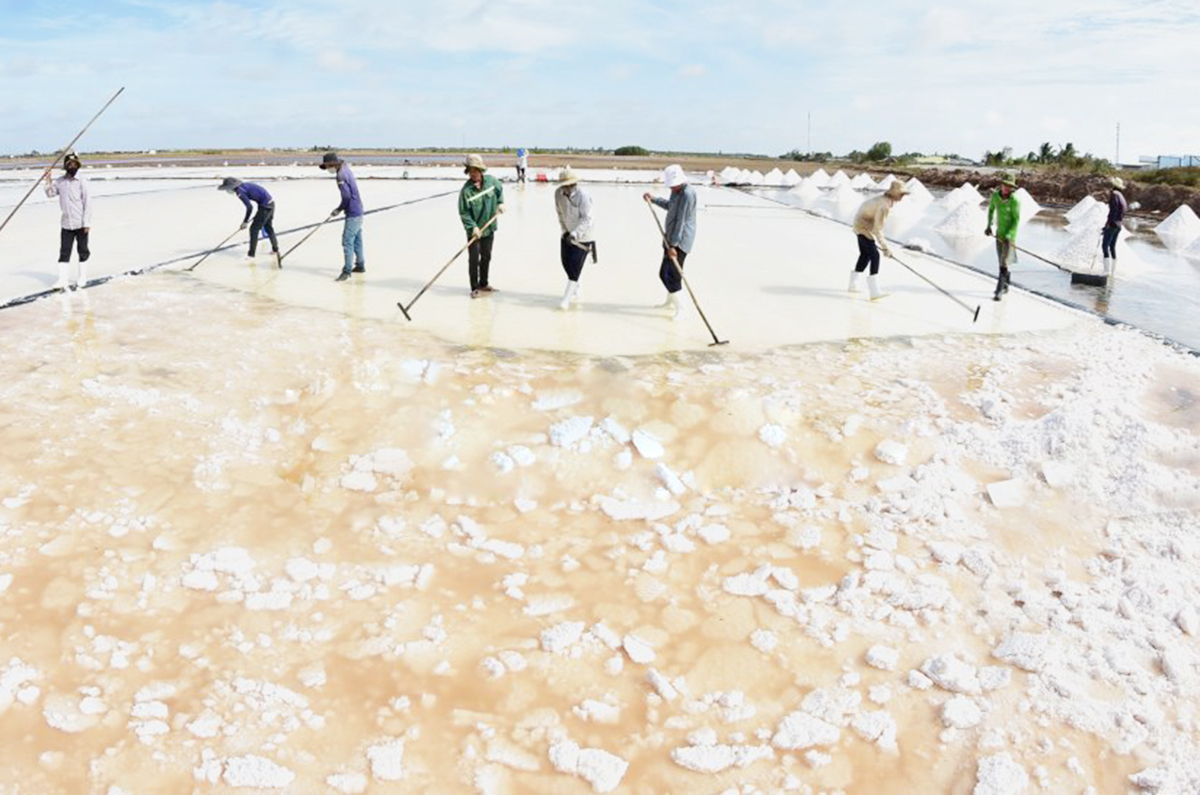 Dù đối diện với nhiều khó khăn, hạt muối vẫn là hạt đuổi nghèo của người dân Bạc Liêu.