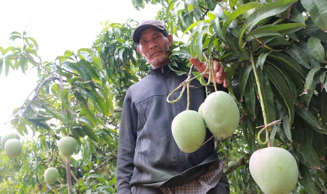 Nhiều mô hình sản xuất kinh doanh giúp người dân nâng cao thu nhập.