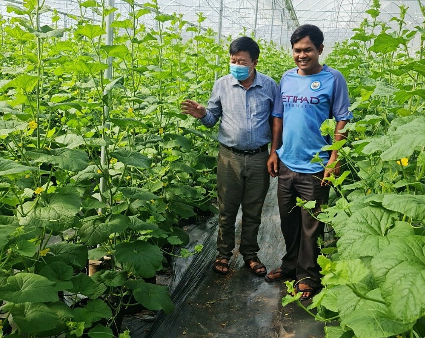 HTX Lộc Hưng đi đầu trong đầu tư sản xuất công nghệ cao.