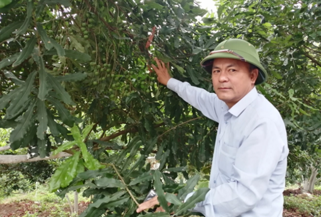 Các HTX phát huy vai trò tiên phong trong giảm nghèo cho người dân địa phương.