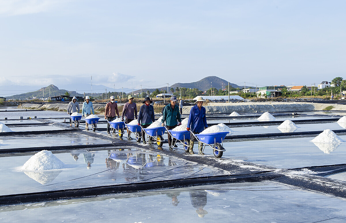 Hộ gia đình làm muối được đề xuất miễn đăng ký hộ kinh doanh.