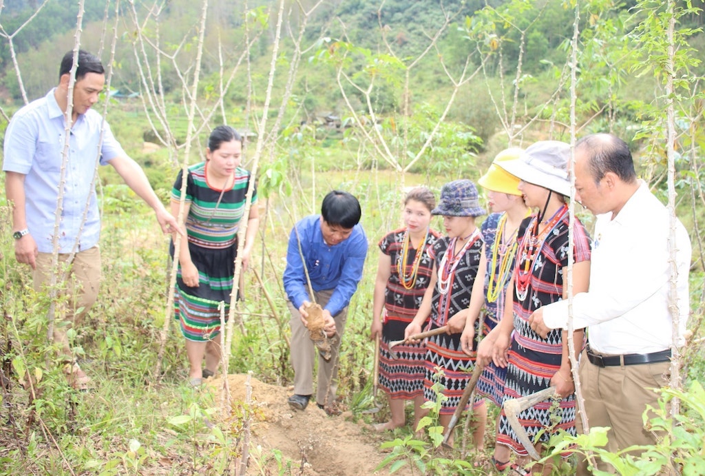 Tham gia vào các mô hình thoát nghèo giúp các phụ nữ dân tộc thiểu số ở huyện Tây Giang cải thiện sinh kế, thay đổi tư duy sản xuất.