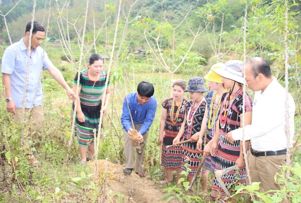 Tham gia vào các mô hình thoát nghèo giúp các phụ nữ dân tộc thiểu số ở huyện Tây Giang cải thiện sinh kế, thay đổi tư duy sản xuất.