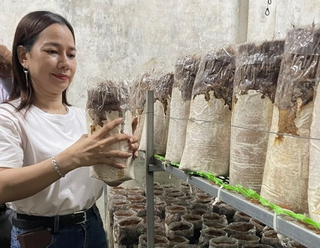 Công tác đào tạo nghề của các HTX đã tạo công ăn việc làm cho nhiều lao động vươn lên thoát nghèo.