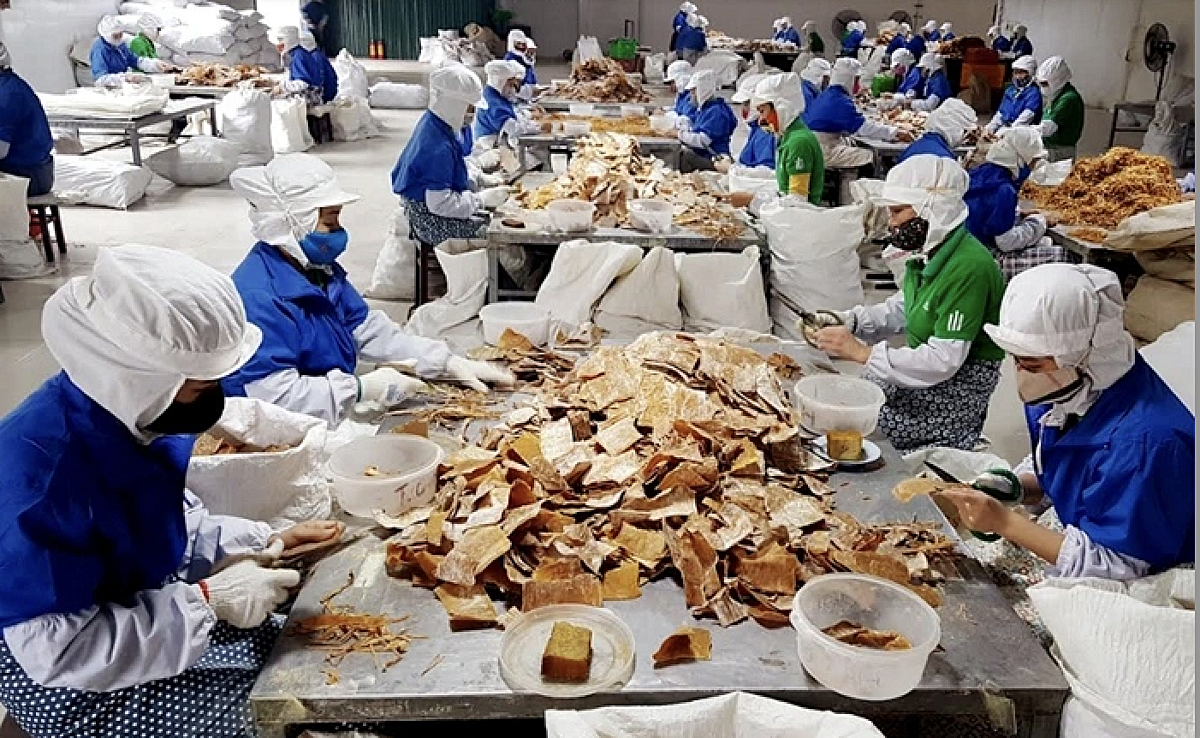 Báo chí có sứ mệnh đặc biệt khi trở thành cầu nối vững chắc giữa chính sách và thực tiễn, thúc đẩy kinh tế tư nhân phát triển bền vững.