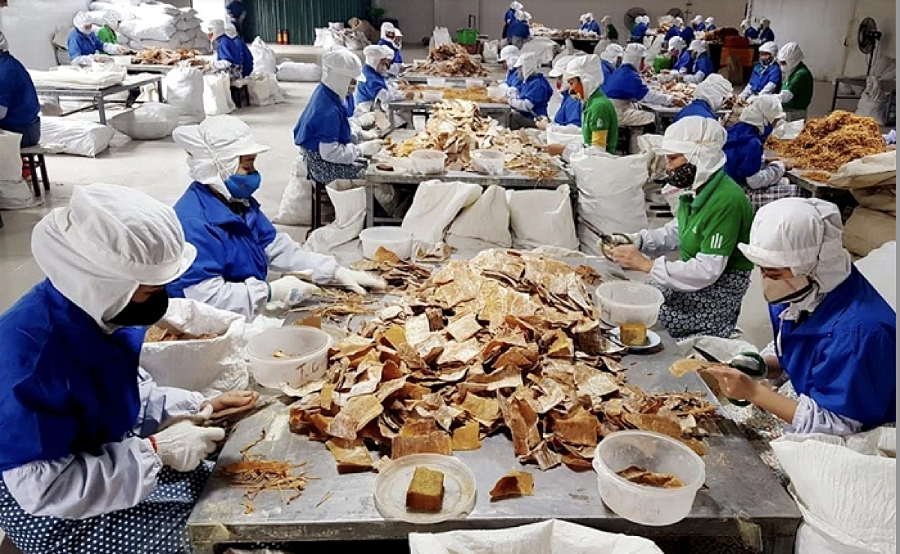 Báo chí có sứ mệnh đặc biệt khi trở thành cầu nối vững chắc giữa chính sách và thực tiễn, thúc đẩy kinh tế tư nhân phát triển bền vững.