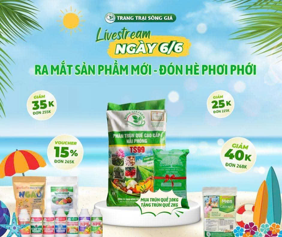 HTX Đầu tư phát triển Sông Giá thường xuyên tổ chức các buổi livestream để giới thiệu sản phẩm của đơn vị tới người tiêu dùng.