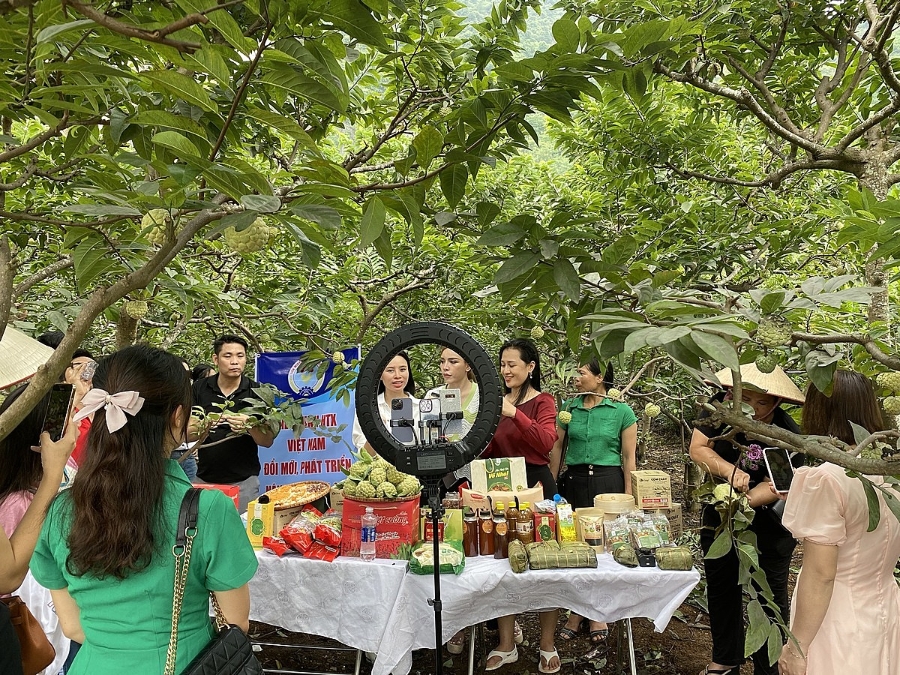 Chương trình livestream mở màn cho sự kiện Lễ hội Na Võ Nhai, Thái Nguyên.