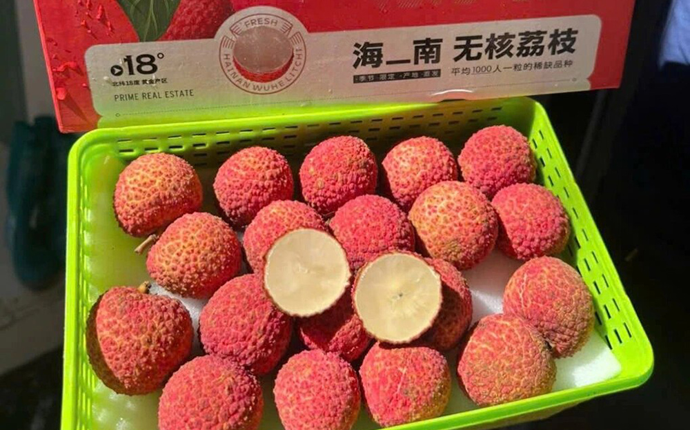 Vải không hạt Trung Quốc được một nhóm khách hàng lựa chọn để trải nghiệm hoặc biếu, tặng.